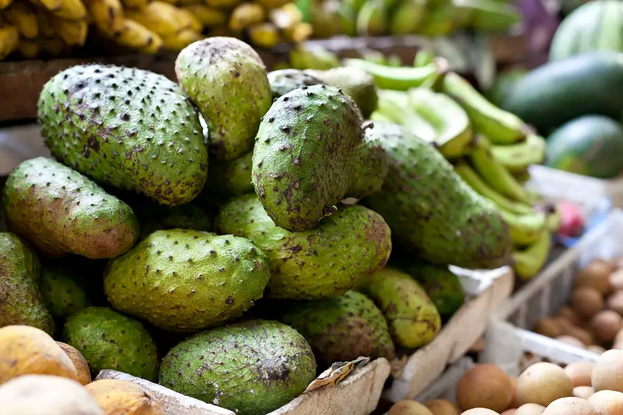 Soursop cancer fight